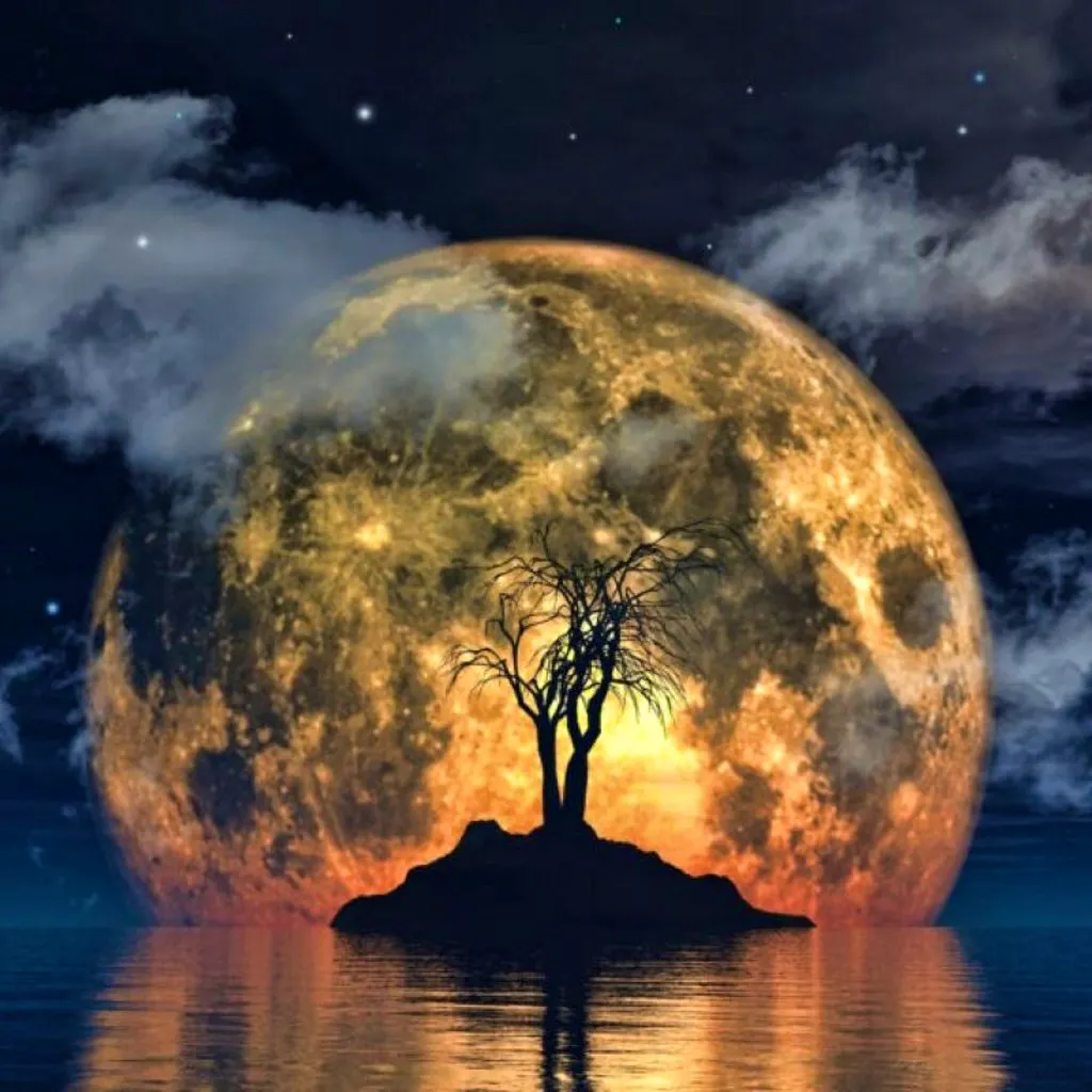 Funny Moon Festival at Široká 59