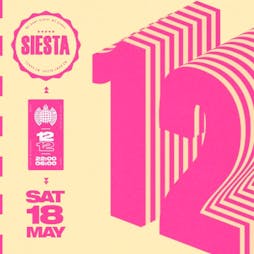 Siesta 12th Birthday Tickets | Ministry Of Sound London  | Sat 18th May 2024 Lineup
