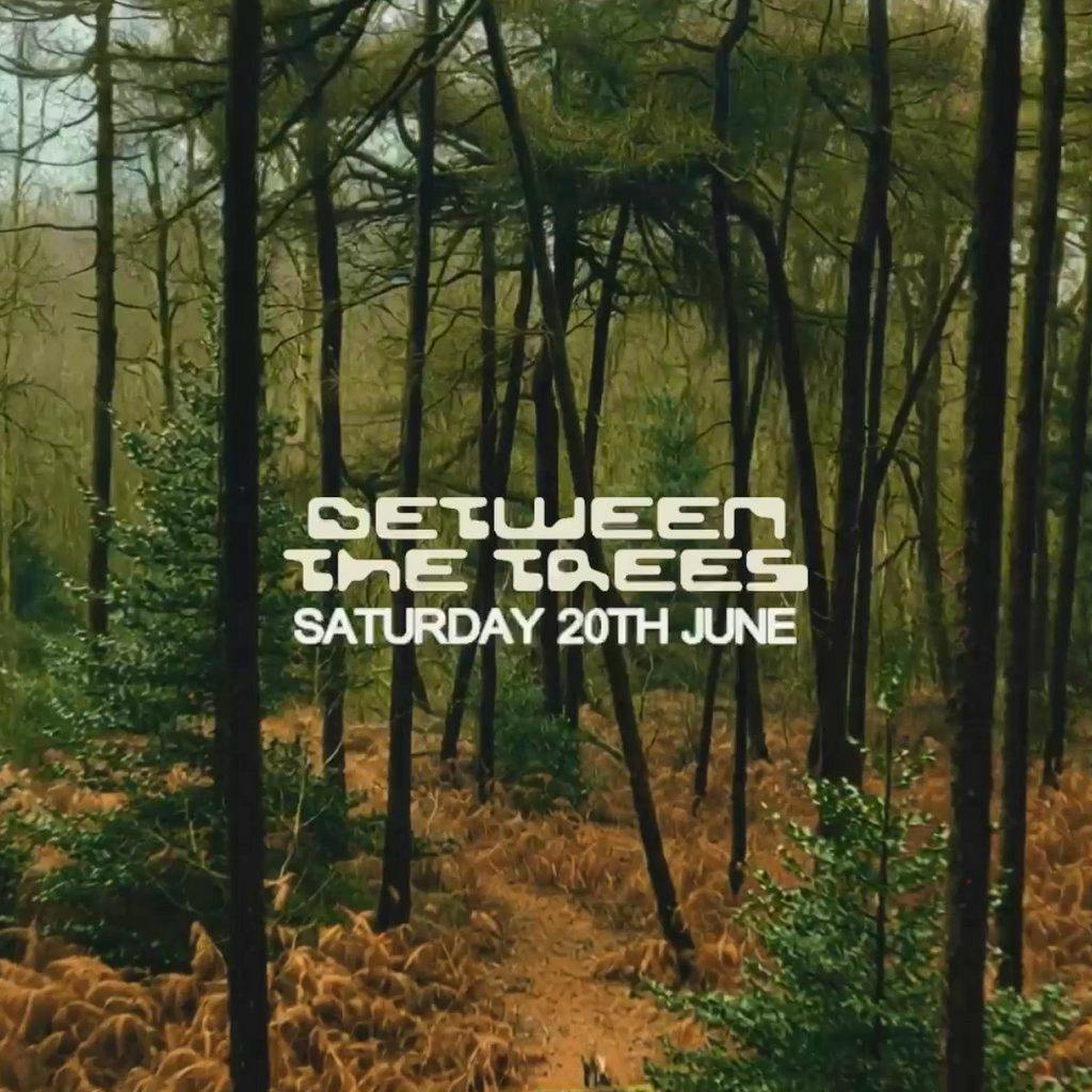 SUMMIT Festival // Between The Trees II at Walmsgate Estate