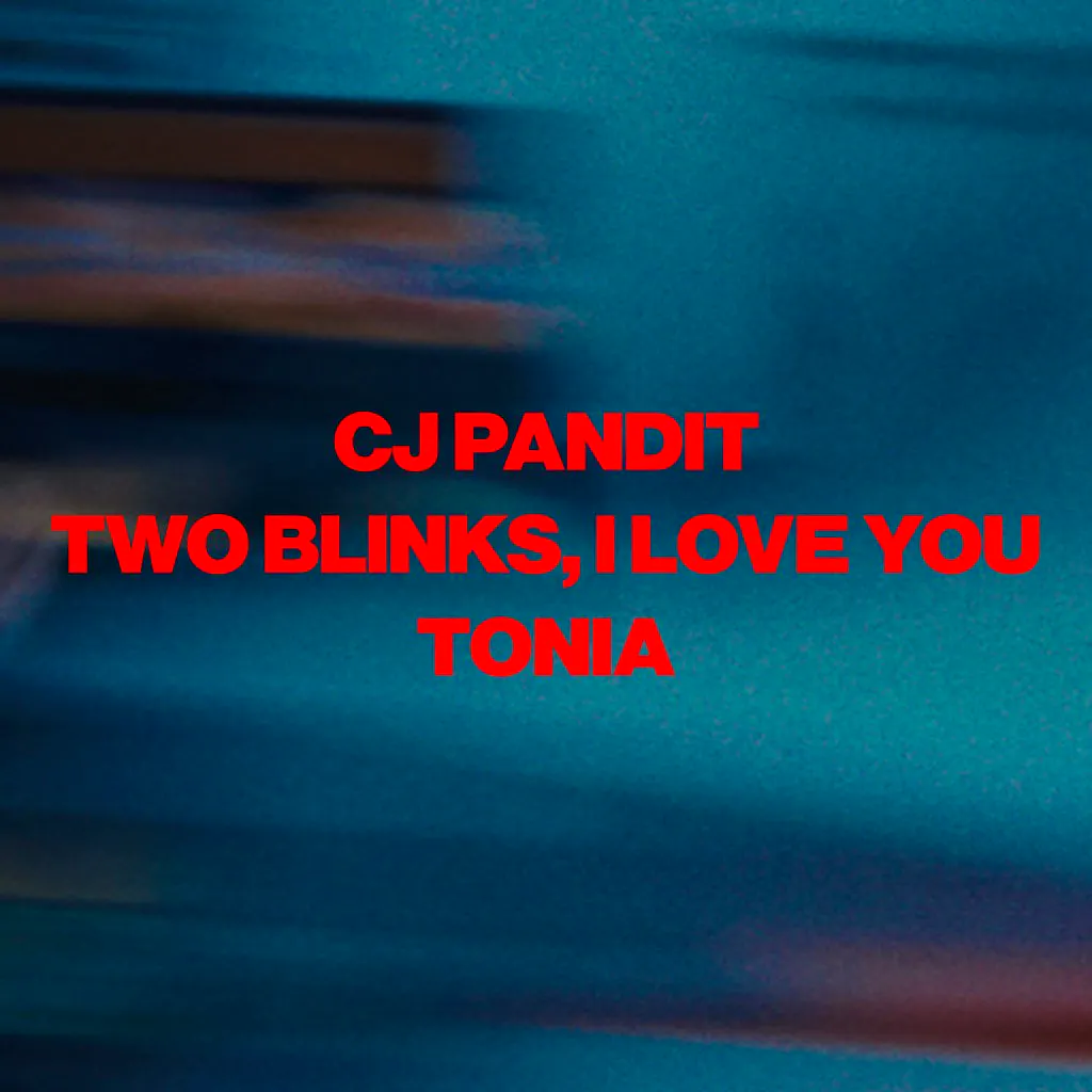 Cj Pandit, Two Blinks i Love You, Tonia at The Cardigan Arms