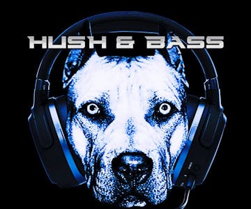 Hush&Bass and Dub Defenders Presents Nicky Blackmarket