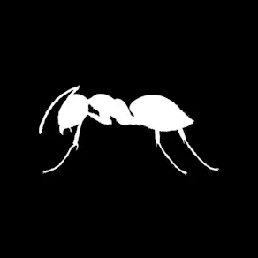 ANTS on Tour | London