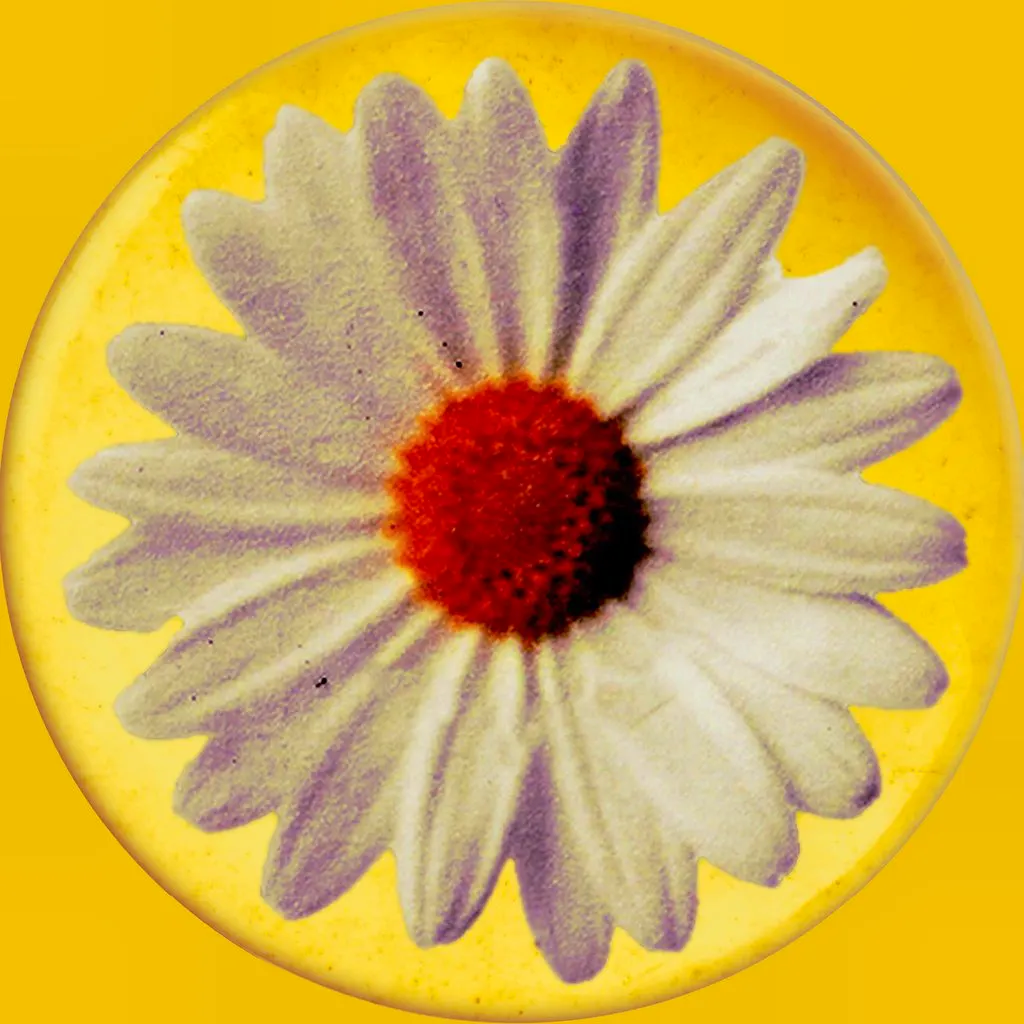 Daisy Chain Fields at Great Park