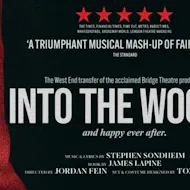 Into The Woods at Noel Coward Theatre