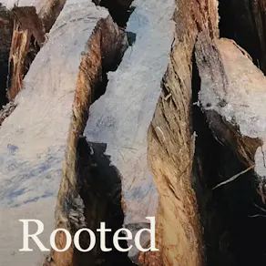 The Rooted