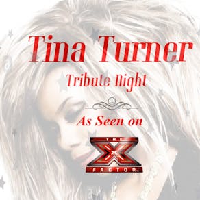 Tina Turner Tribute Night - Newcastle Under Lyme