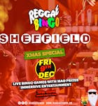 REGGAE BINGO -  SHEFFIELD FRI 9th Dec (Xmas Special)