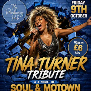 Tina Turner Tribute and a night of Soul and Motown