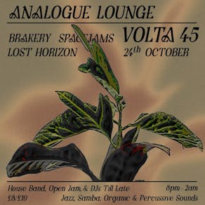 Analogue Lounge w/ Volta45