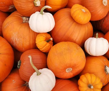 Pumpkins, Tumshies and Tattiebogles