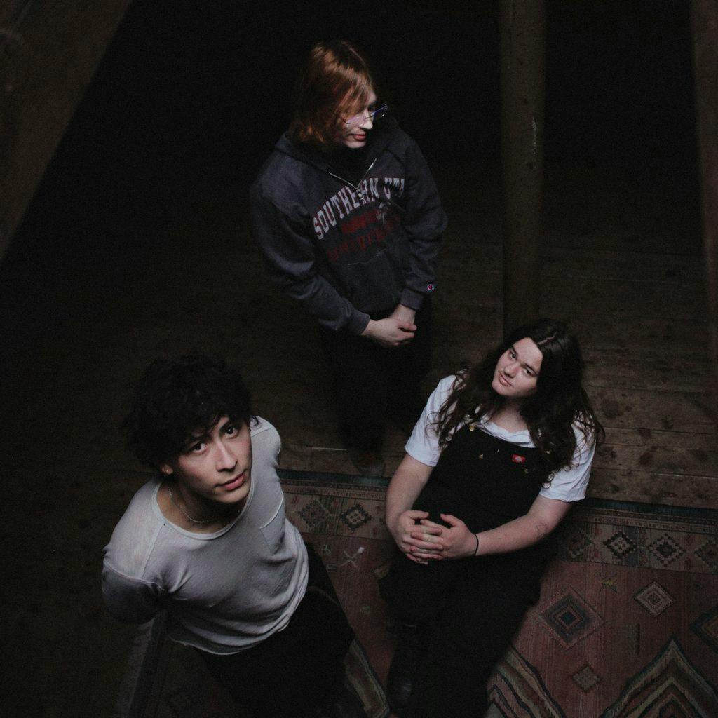 thistle. + Little Grandad at Zerox  Newcastle