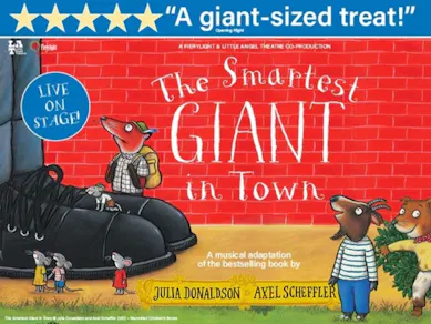 The Smartest Giant In Town