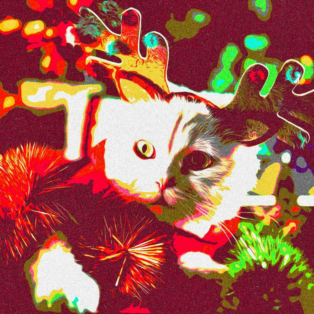 WINTER ROMANCE: Nottingham's biggest indie club night at Rescue Rooms Nottingham