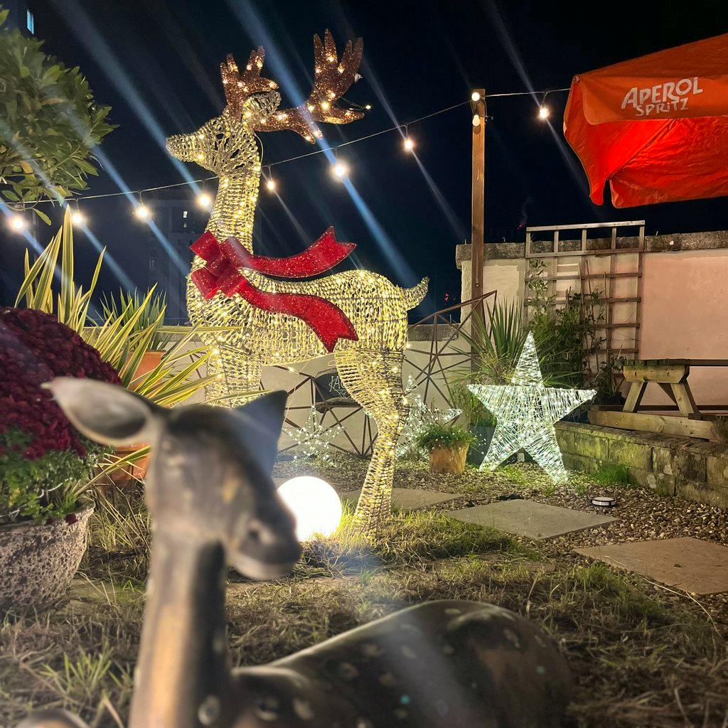 Rooftop coffee shop serving mulled wine and mince pies! at Jacobs Roof Garden