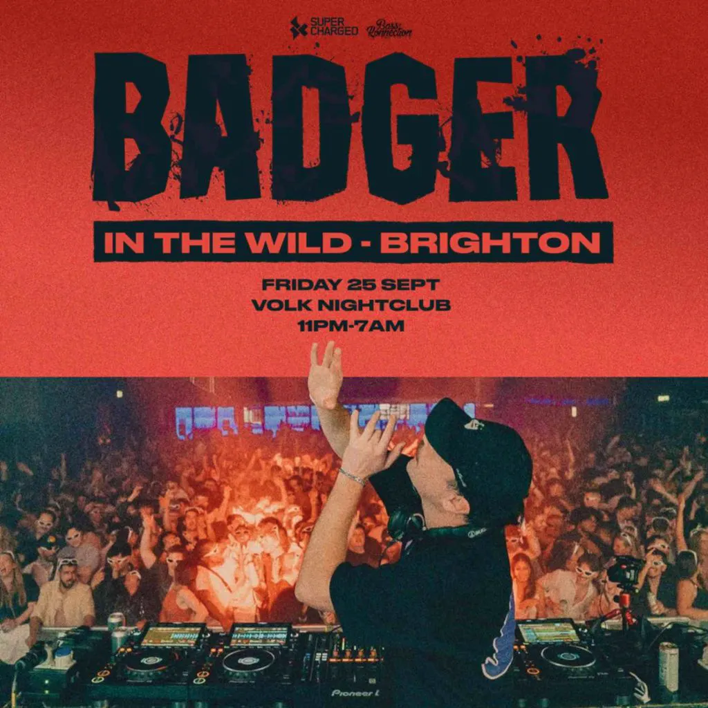 Badger In the Wild at The Volks