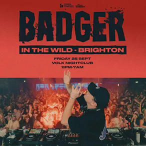 Badger In the Wild