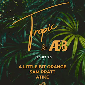 Ramona Club: TROPIC x ABB