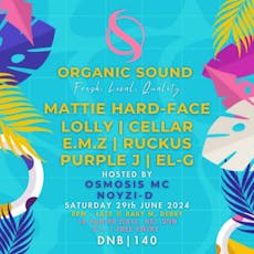 Organic Sound | Summer Sessions at Baby M
