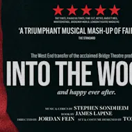 Into The Woods at Noel Coward Theatre