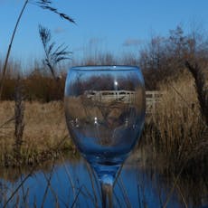 Wine and Walk at WWT London Wetland Centre