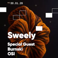Sweely at The Warehouse