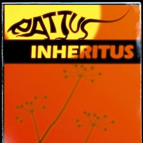 The Stranglers tribute - Rattus Inheritus