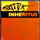 The Stranglers tribute - Rattus Inheritus