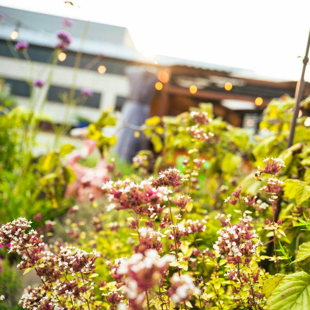 Saturday 25th April - Closed to the general public at Jacobs Roof Garden