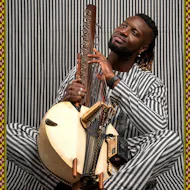 Suntou Susso at The Crown House at The Crown House, St Leonards