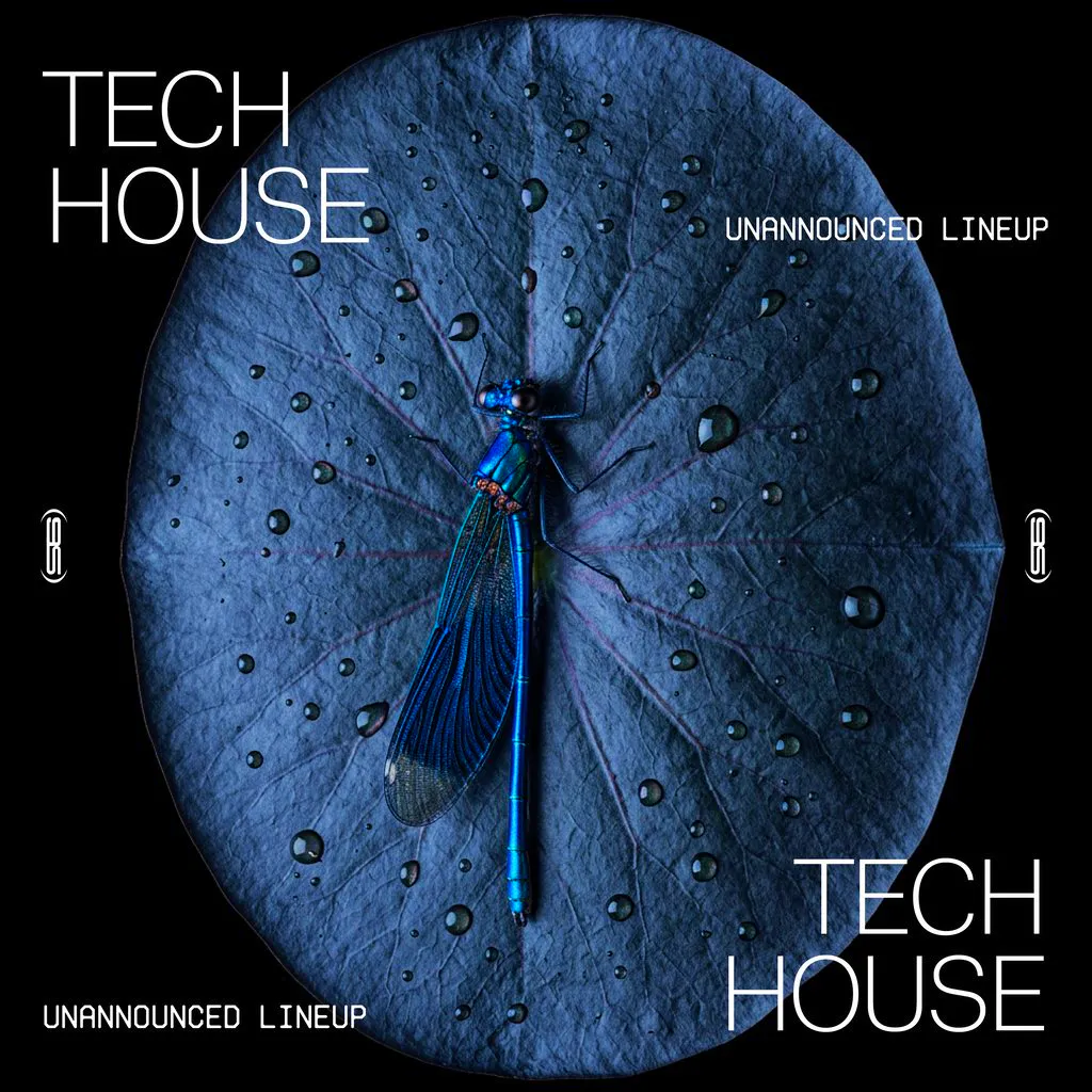 Saturdays at Amber's: Tech House at Amber's