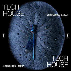 Saturdays at Amber's: Tech House