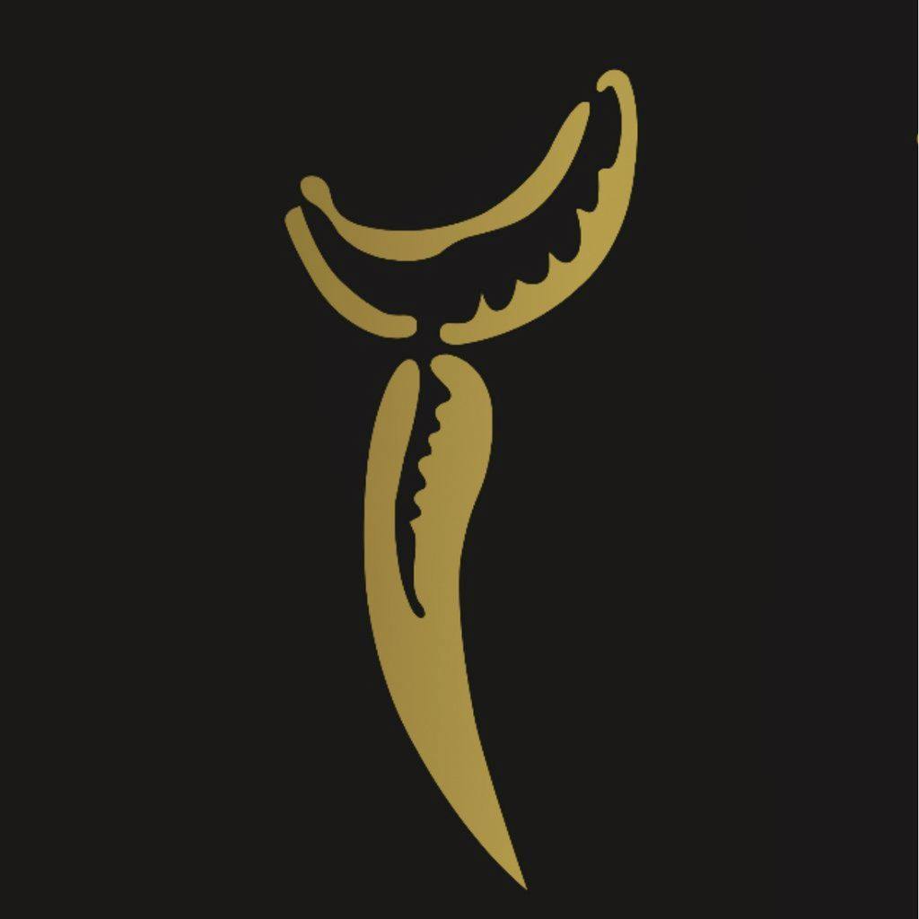 ALL NIGHT LONG presents STEVEN McCREERY (TRIUMPH 5hr OTC SET) at Revolution Mitchell Street