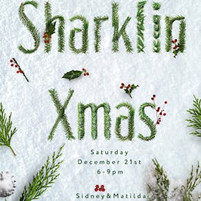 Sharkfin presents: Xmas