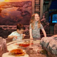 Midweek Madness at Marina Centre