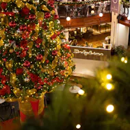 Pilates Under The Tree - 27th November at The Delphine, Princes Square