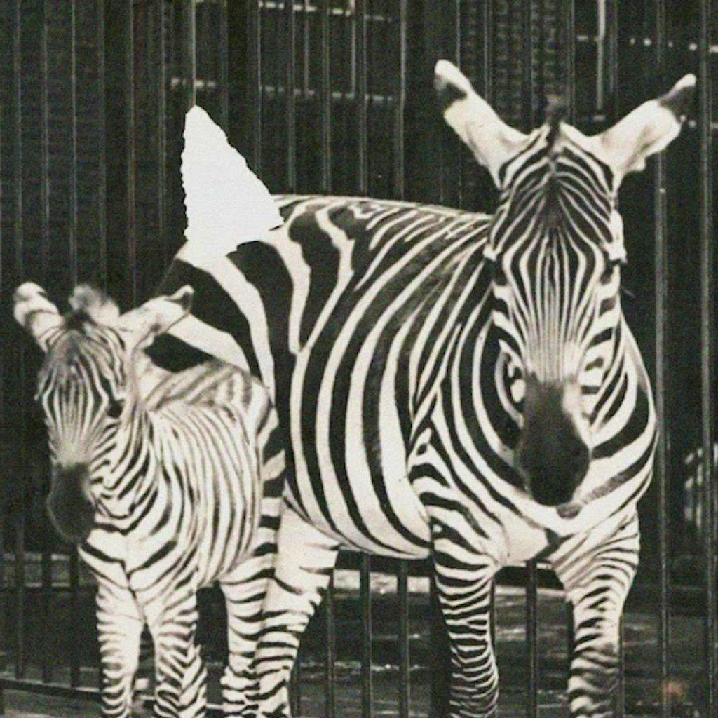 Rare Disease Charity Gig at 1990