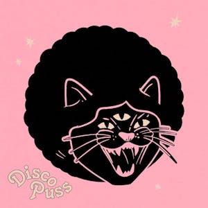 DISCO PUSS: "Pink to Make you Wink"