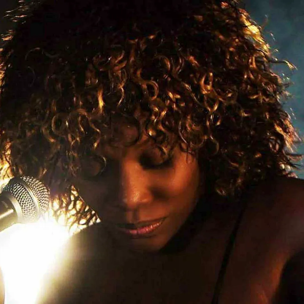 Tina Turner Tribute Night - Aldridge at Aldridge Social Club