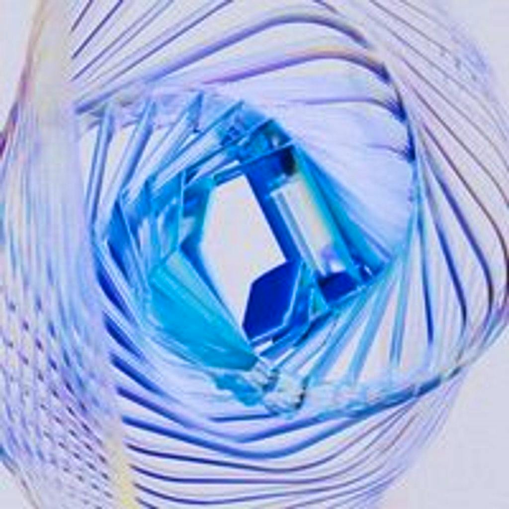 Awakenings Upclose at Spaarnwoude Houtrak