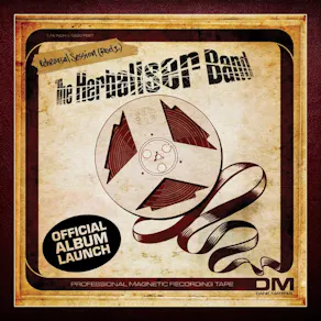 The Herbaliser Band