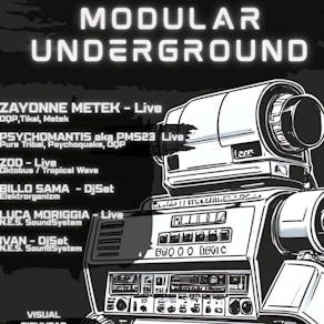 MODULAR UNDERGROUND meets Metek