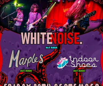 White Noise - Marples - Indoor Shoes