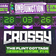 DNB Junction with Crossy at The Flint Cottage