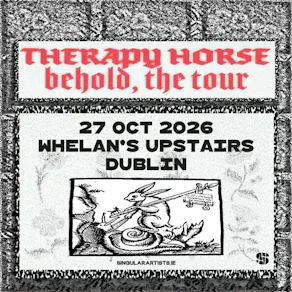 Therapy Horse