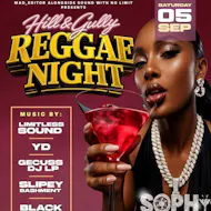 hill & Gully reggae night at Sophy Digbeth