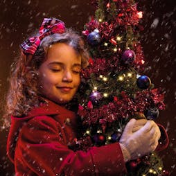 Hey! Christmas Tree | Chichester Festival Theatre Chichester  | Wed 11th December 2024 Lineup
