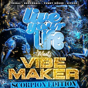 Vibemaker