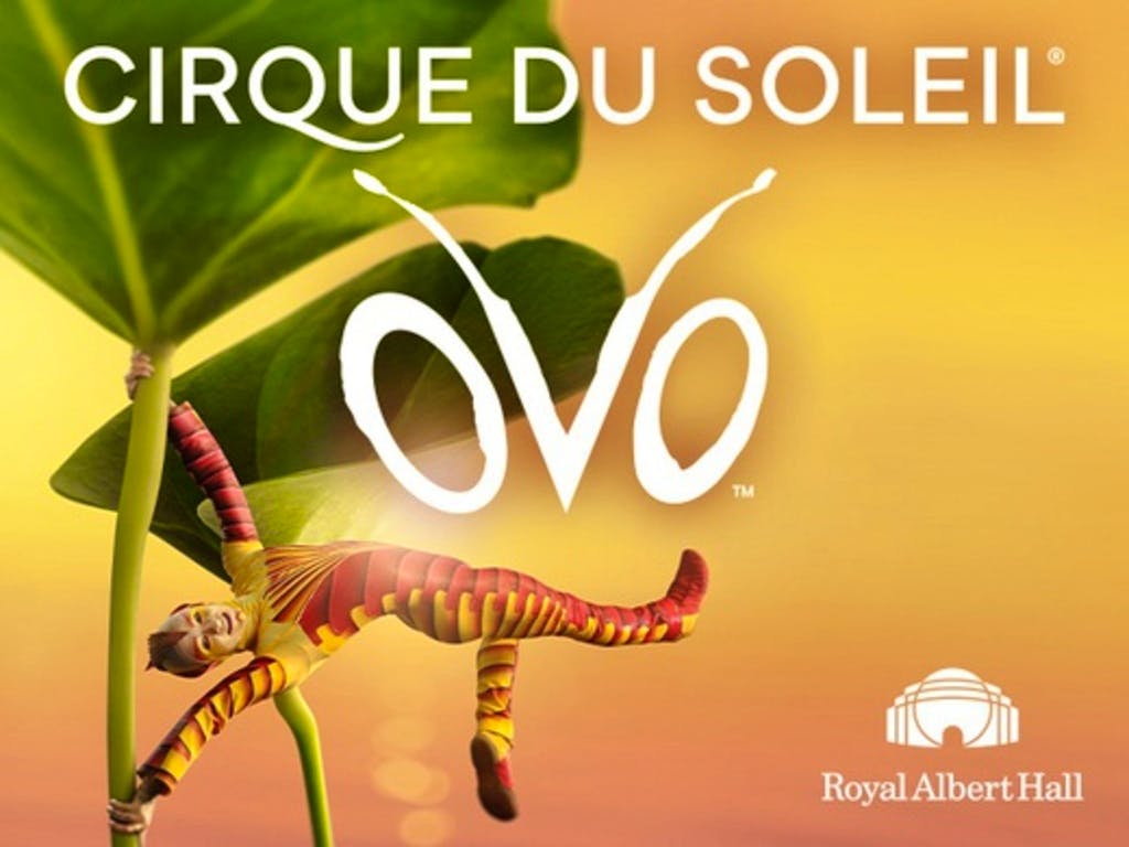 Cirque Du Soleil: Ovo at The Royal Albert Hall