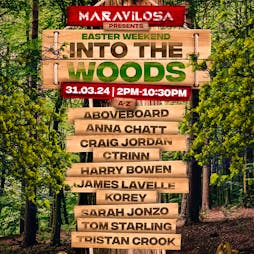 Maravilosa into the woods Tickets | The Ship Chelmsford  | Sun 31st March 2024 Lineup
