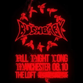 The Loft: Bushbaby (All Night Long)